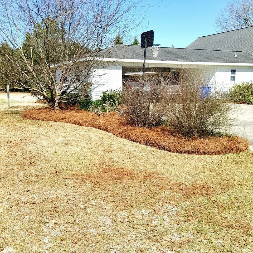 Reliable residential landscaping experts serving New Brockton, AL - Martinez Lawn Care