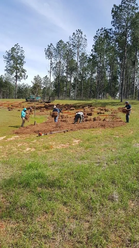 Professional yard cleanup service in New Brockton, AL by Martinez Lawn Care