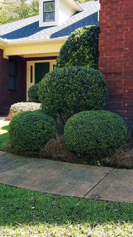 Custom landscape design for year-round maintenance in New Brockton, AL by Martinez Lawn Care