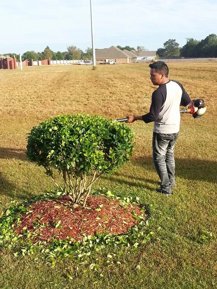 Top-rated yard cleanup service in New Brockton, AL by Martinez Lawn Care