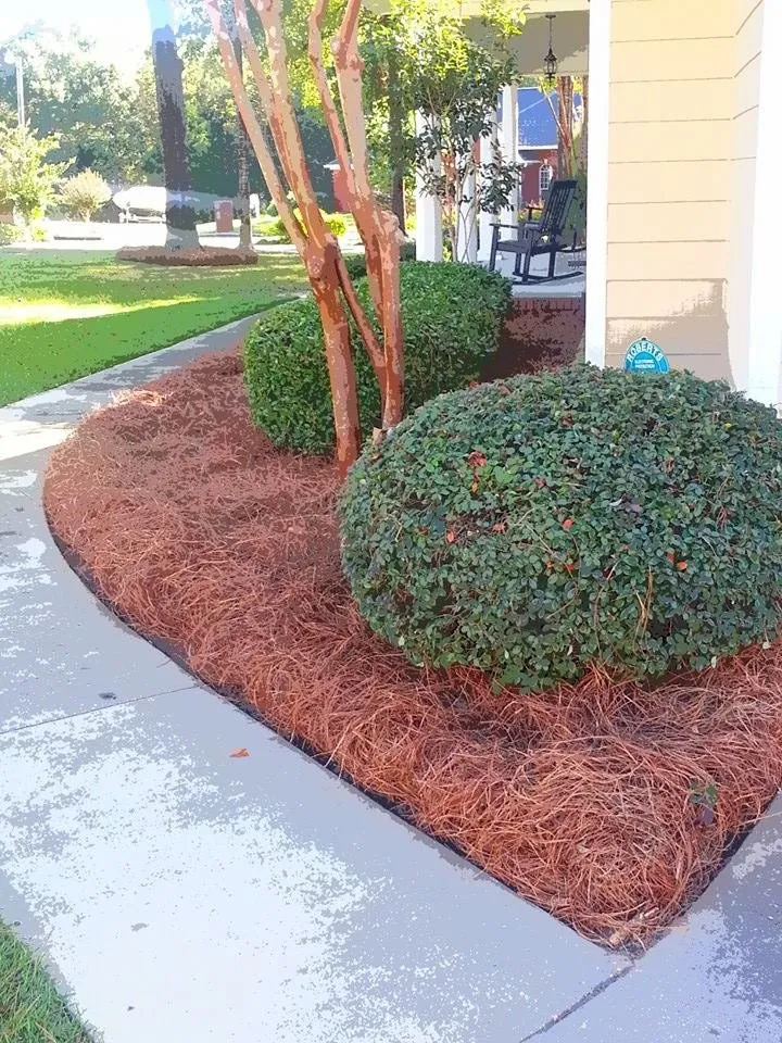 Trusted yard maintenance for beautiful yards across New Brockton, AL - Martinez Lawn Care