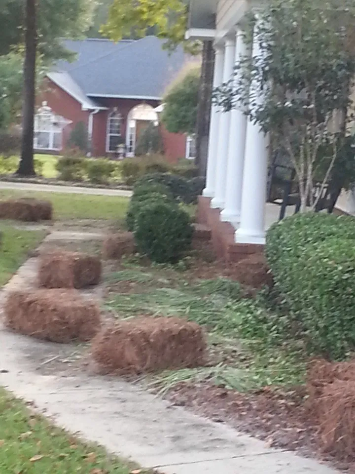 Trusted yard maintenance in New Brockton, AL - Martinez Lawn Care