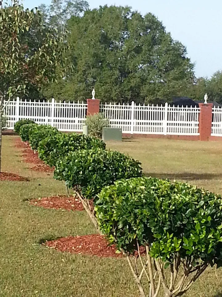 Professional lawn care service in New Brockton, AL - Martinez Lawn Care