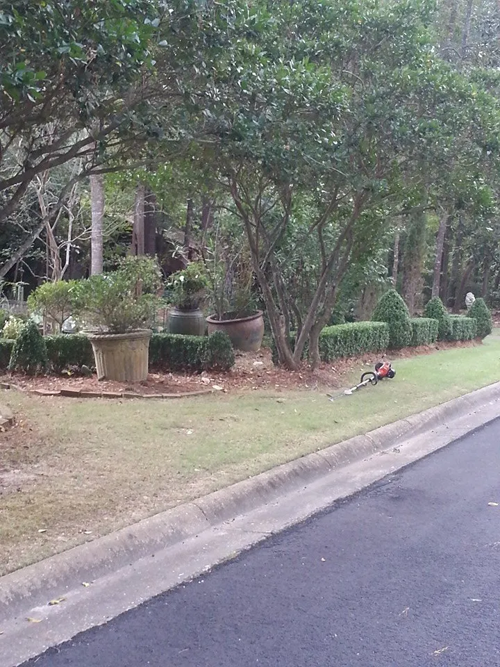 Affordable yard cleanup service near you in New Brockton, AL by Martinez Lawn Care