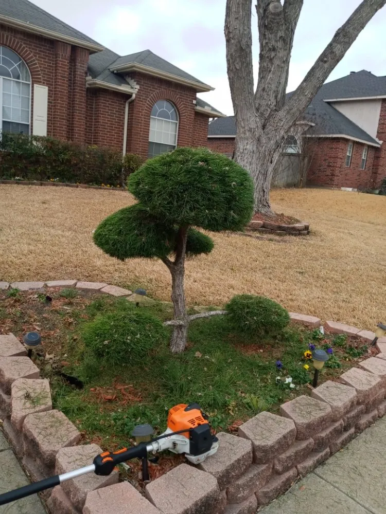 Professional yard maintenance near you in Waxahachie, TX by Martinez Lawn Care