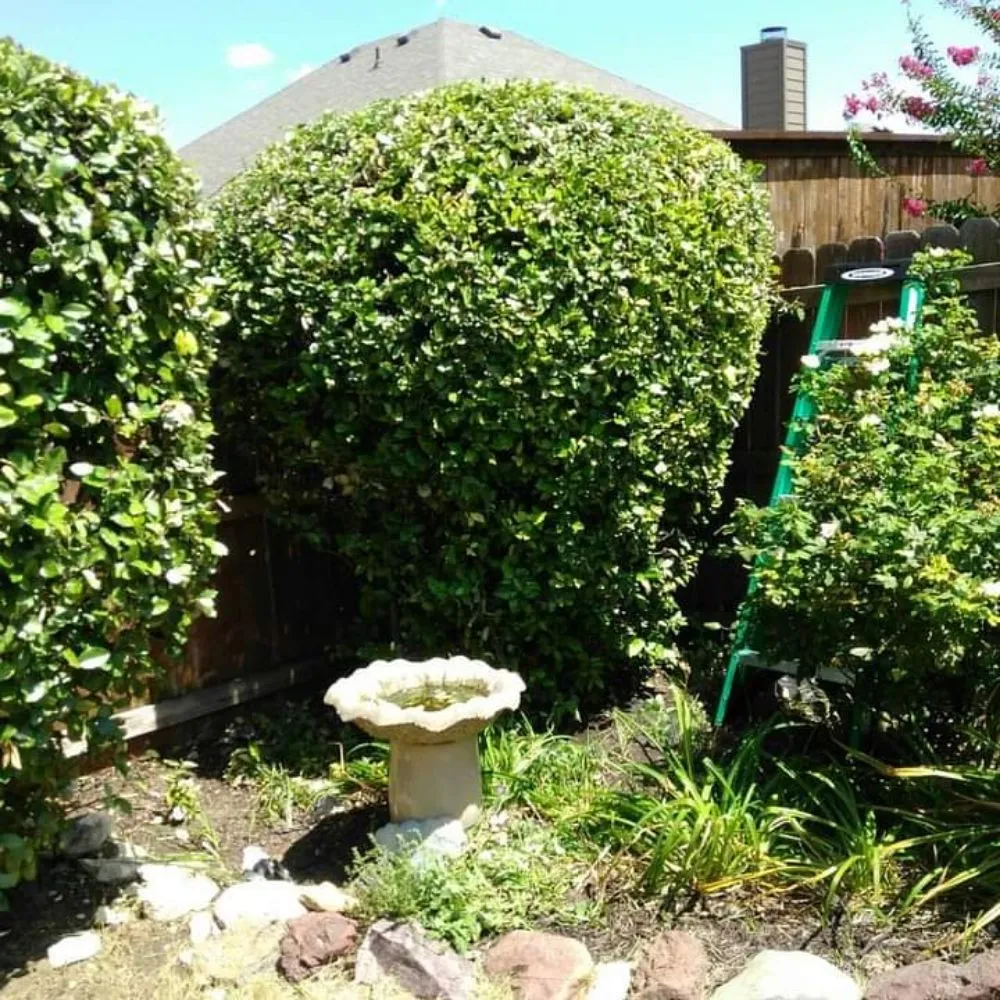 Custom outdoor landscaping in Waxahachie, TX by Martinez Lawn Care