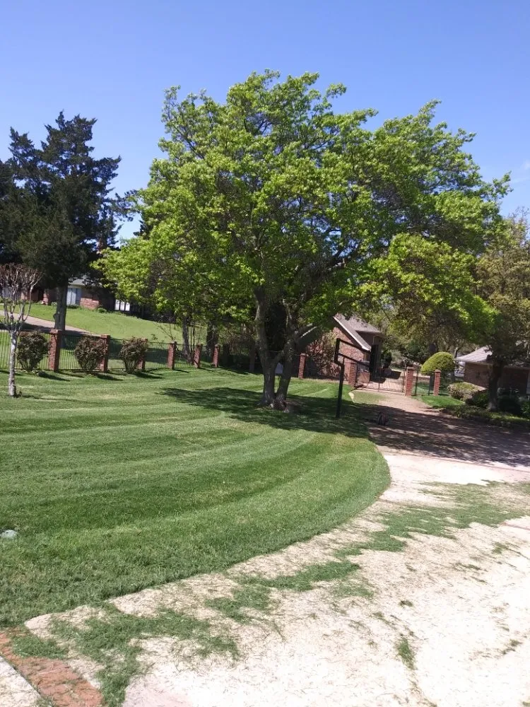 Affordable outdoor landscaping in Waxahachie, TX - Martinez Lawn Care