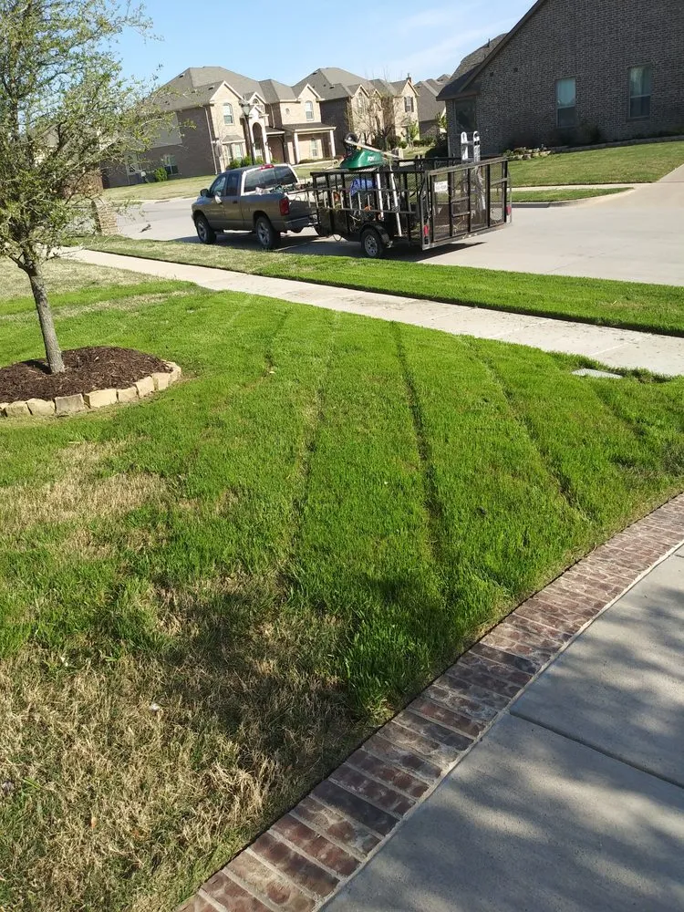 Professional yard maintenance in Waxahachie, TX - Martinez Lawn Care