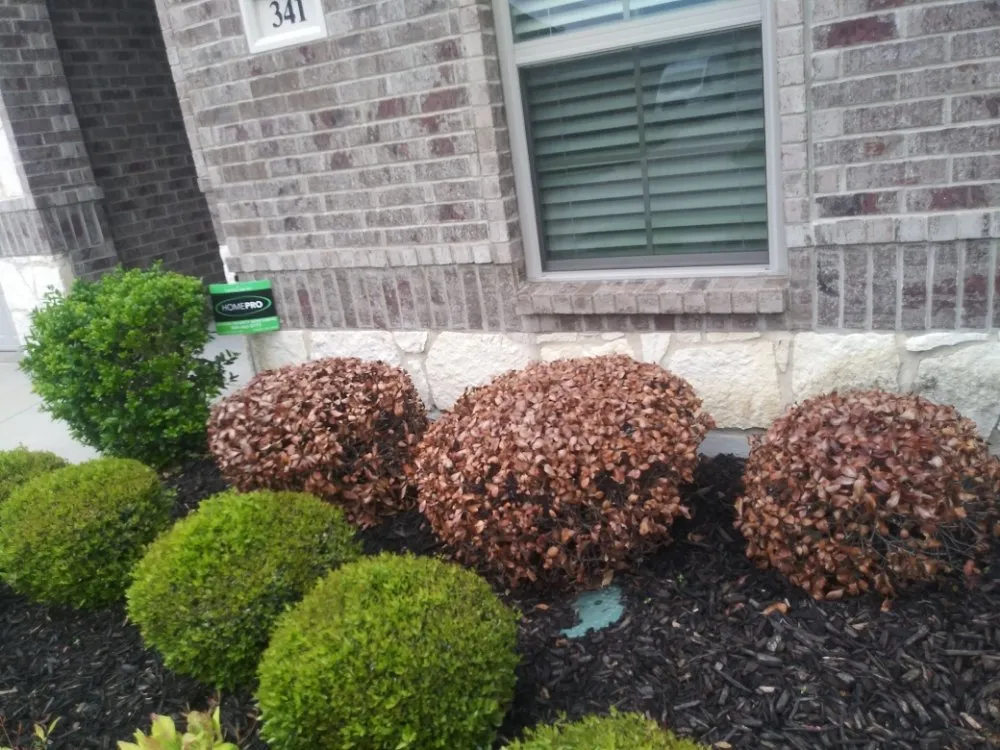 Local landscape design in Waxahachie, TX by Martinez Lawn Care