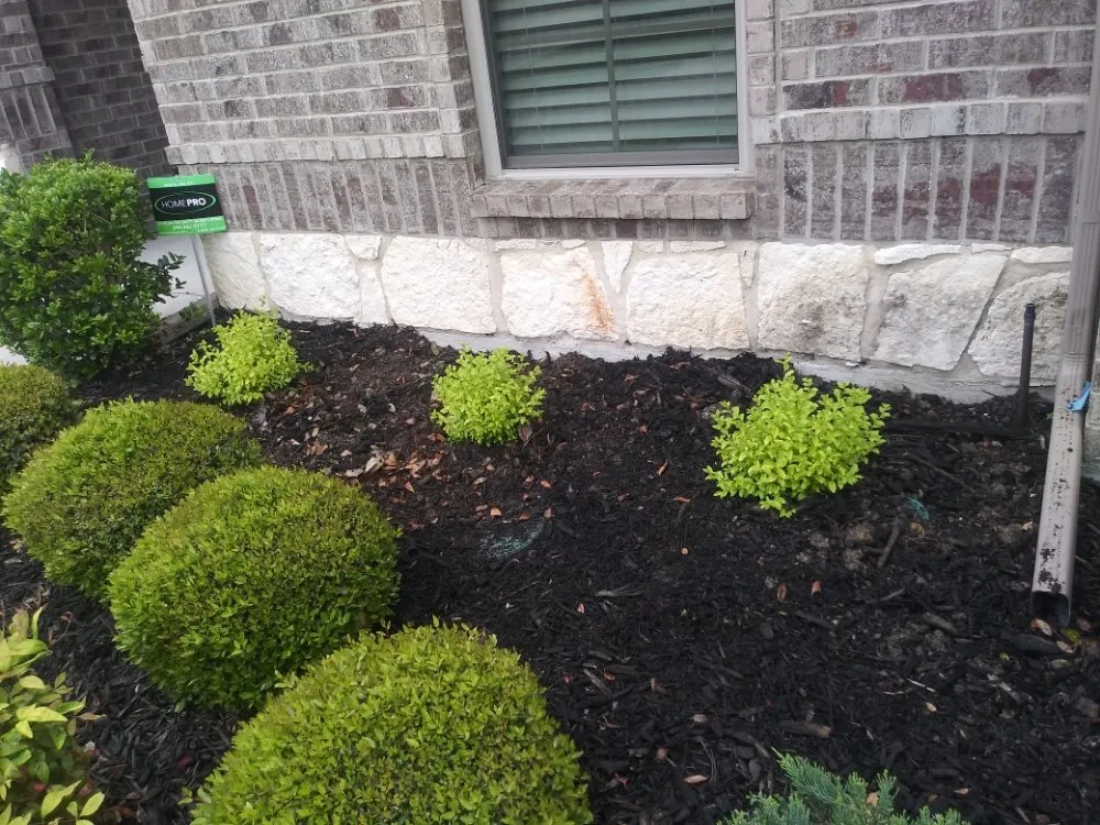 Affordable yard maintenance near you across Waxahachie, TX - Martinez Lawn Care