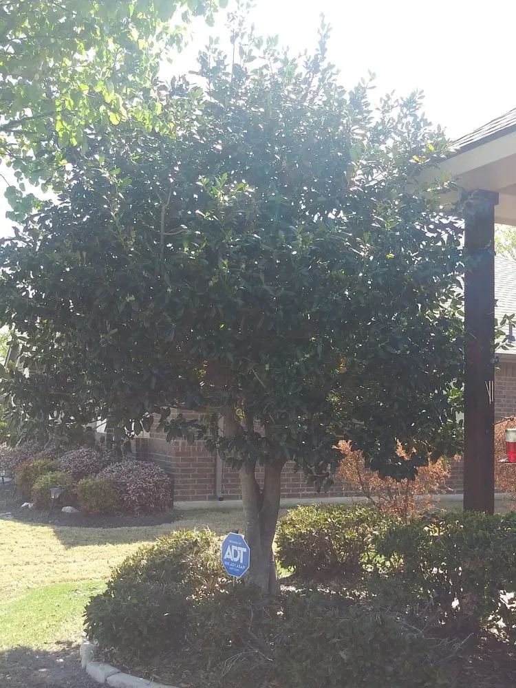 Top-rated landscape design for outdoor upgrades in Waxahachie, TX by Martinez Lawn Care