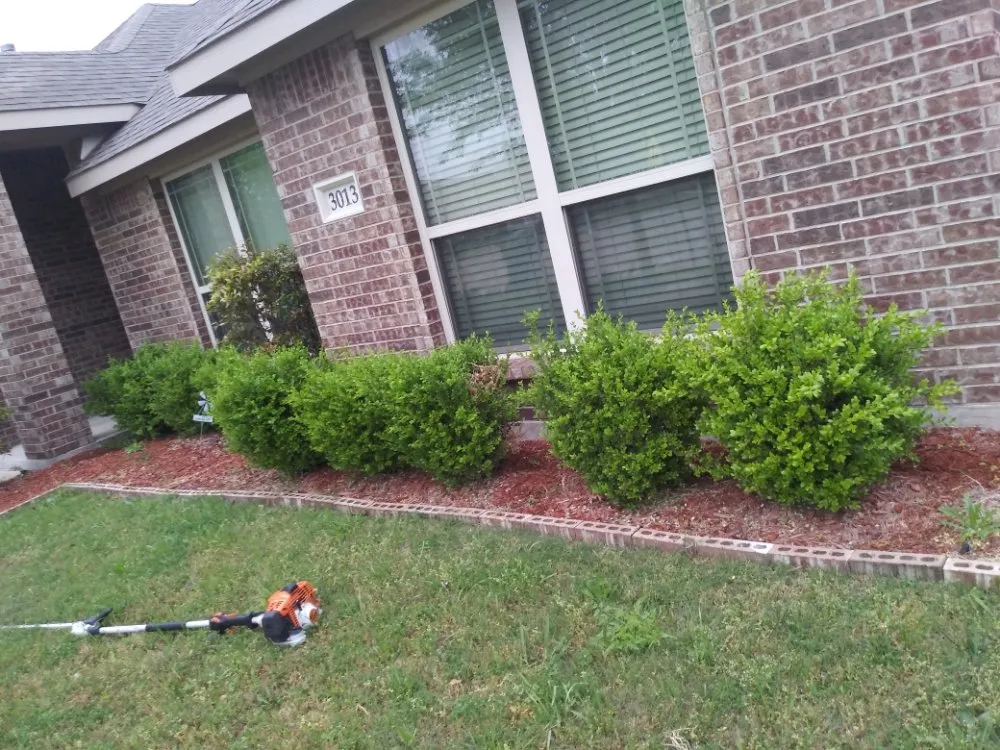 Trusted yard maintenance for homes in Waxahachie, TX by Martinez Lawn Care