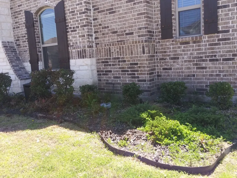 Local landscaping services in Waxahachie, TX by Martinez Lawn Care