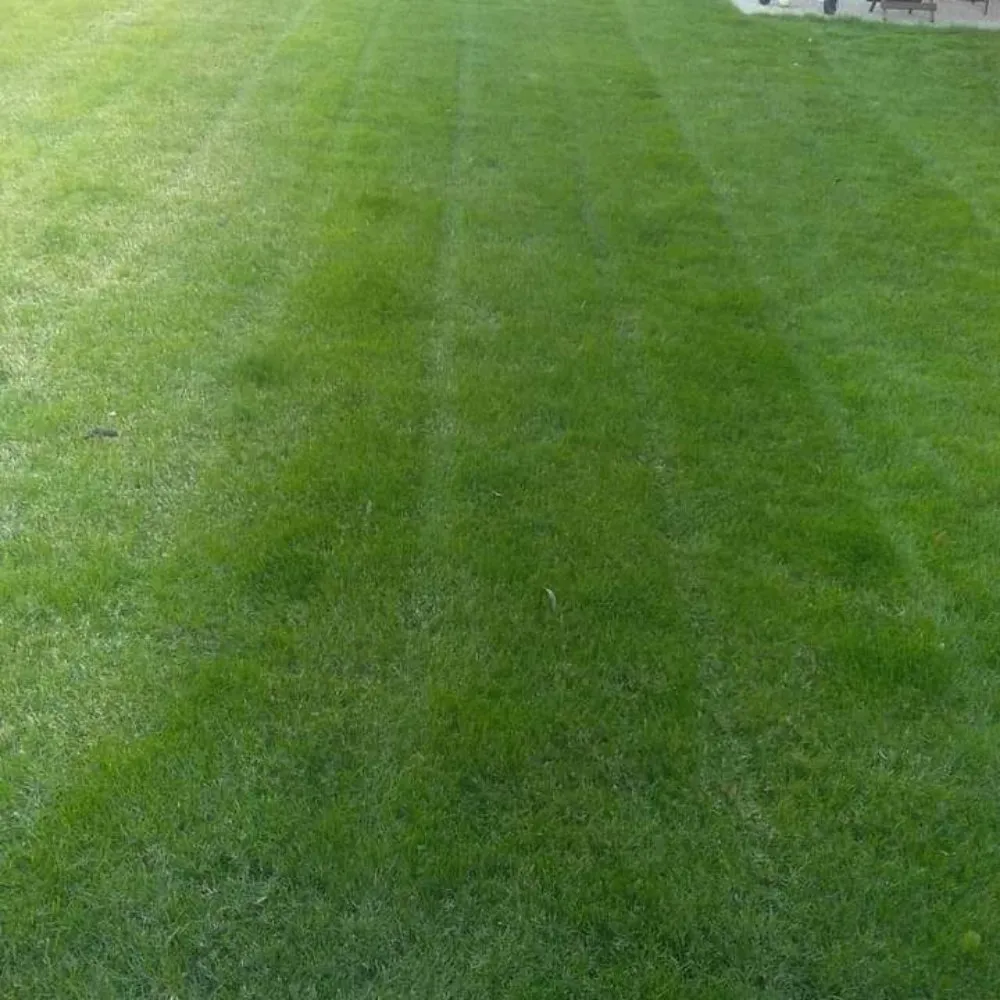 Reliable garden landscaping for outdoor upgrades in Waxahachie, TX by Martinez Lawn Care