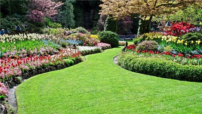 Professional yard cleanup service in Raleigh, NC - Martinez Lawn Mowing