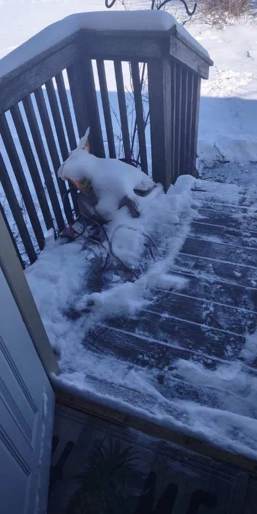 Professional landscape design in Champaign, IL by Martinez Lawn N Firewood Services