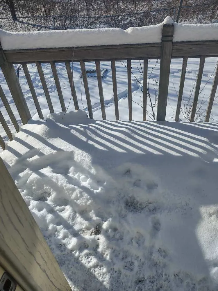 Custom yard maintenance with custom design in Champaign, IL by Martinez Lawn N Firewood Services