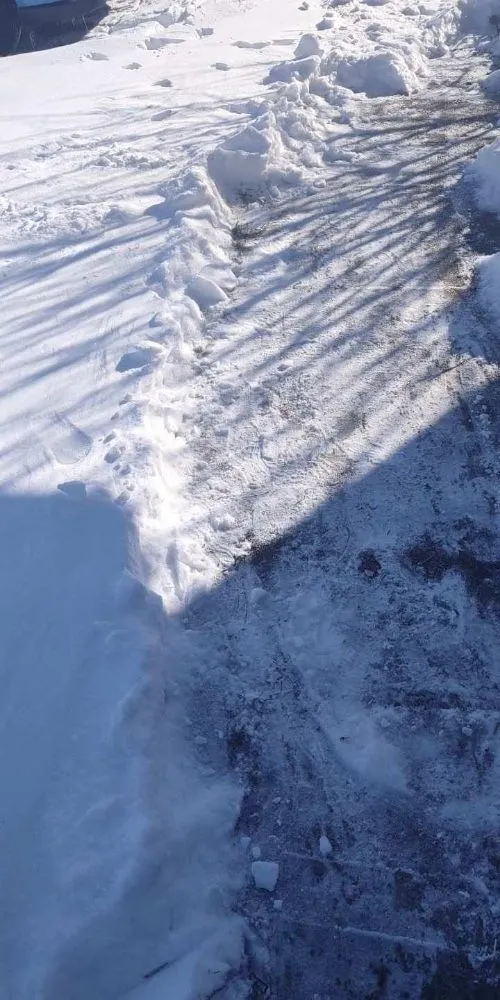 Reliable garden landscaping in Champaign, IL - Martinez Lawn N Firewood Services