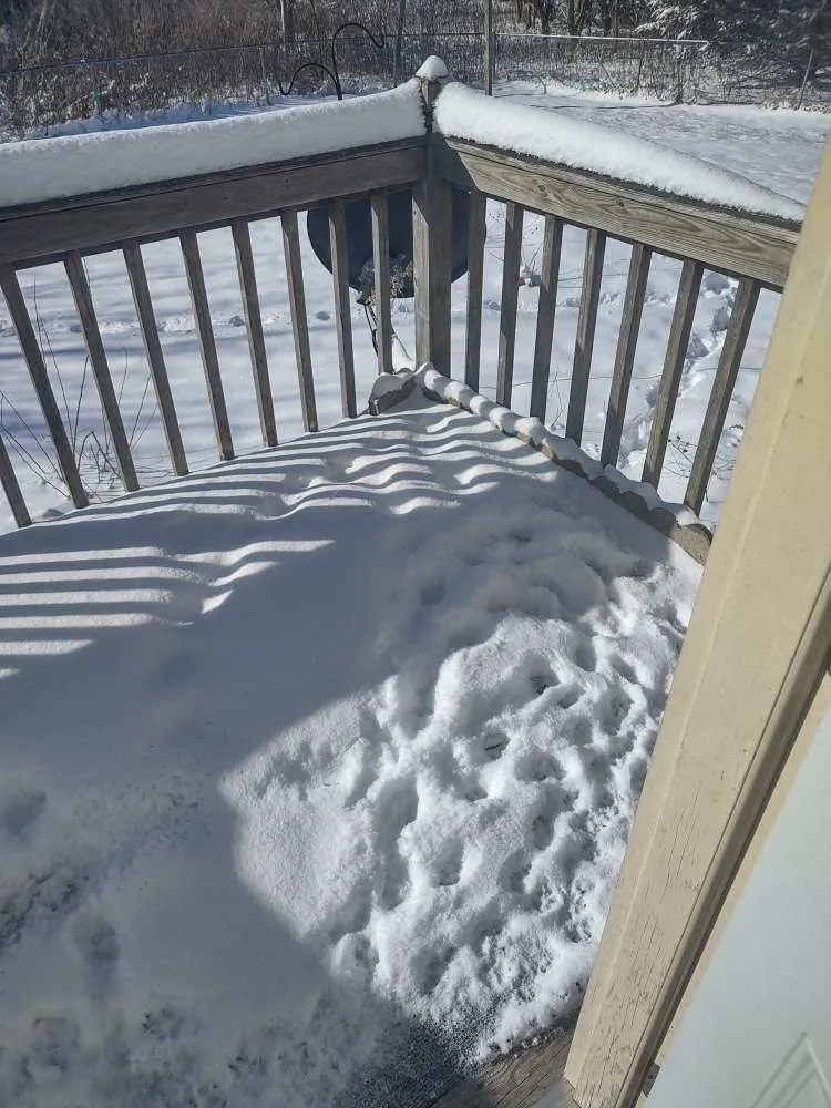 Professional lawn care service experts serving Champaign, IL - Martinez Lawn N Firewood Services