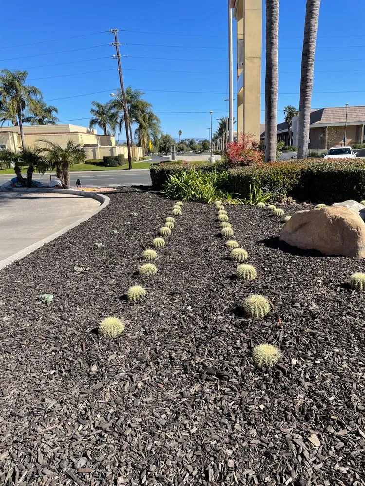 Expert outdoor landscaping for residential properties across Corona, CA - Martinez Lawn Service