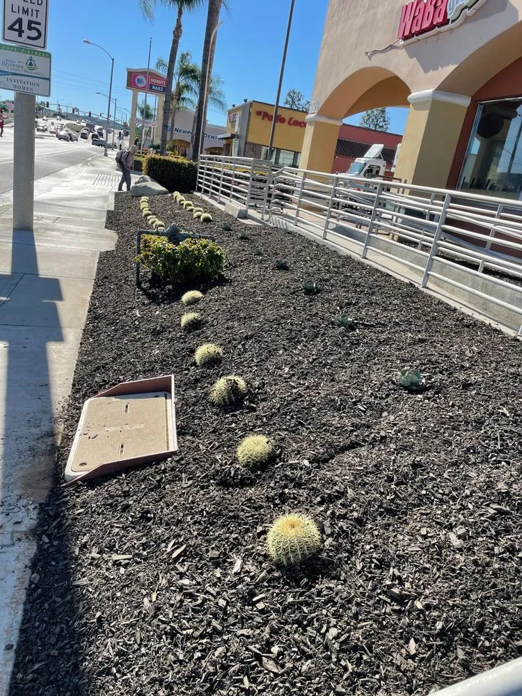 Professional lawn mowing service near you in Corona, CA by Martinez Lawn Service