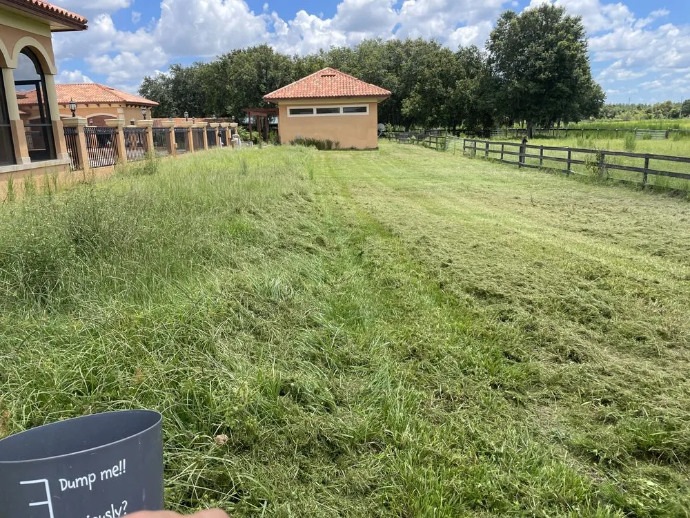 Trusted outdoor landscaping for outdoor upgrades across Tampa, FL - Martinez Lawn Service