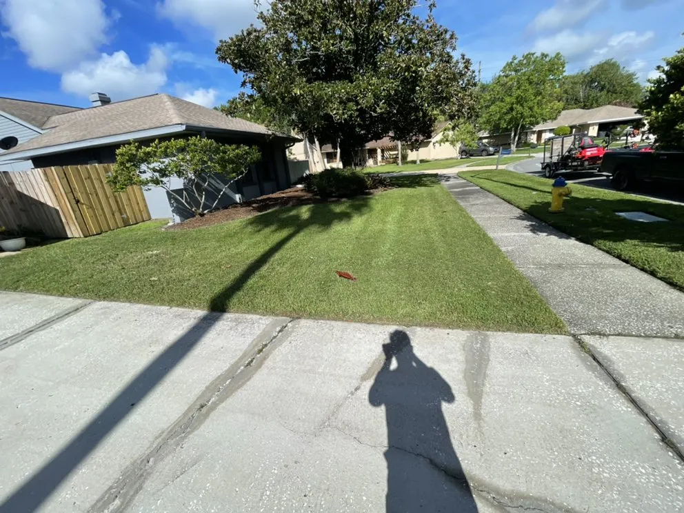 Trusted residential landscaping in Tampa, FL by Martinez Lawn Service