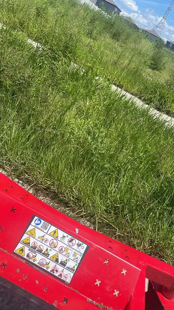 Trusted outdoor landscaping in Tampa, FL - Martinez Lawn Service