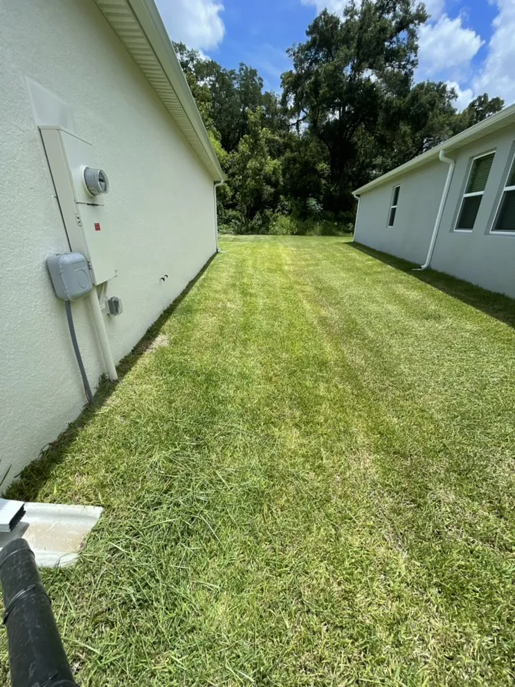 Top-rated landscape installation with custom design across Tampa, FL - Martinez Lawn Service