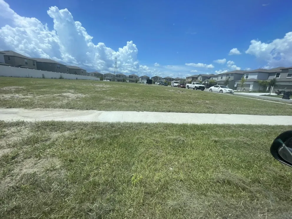 Affordable yard cleanup service for year-round maintenance in Tampa, FL by Martinez Lawn Service