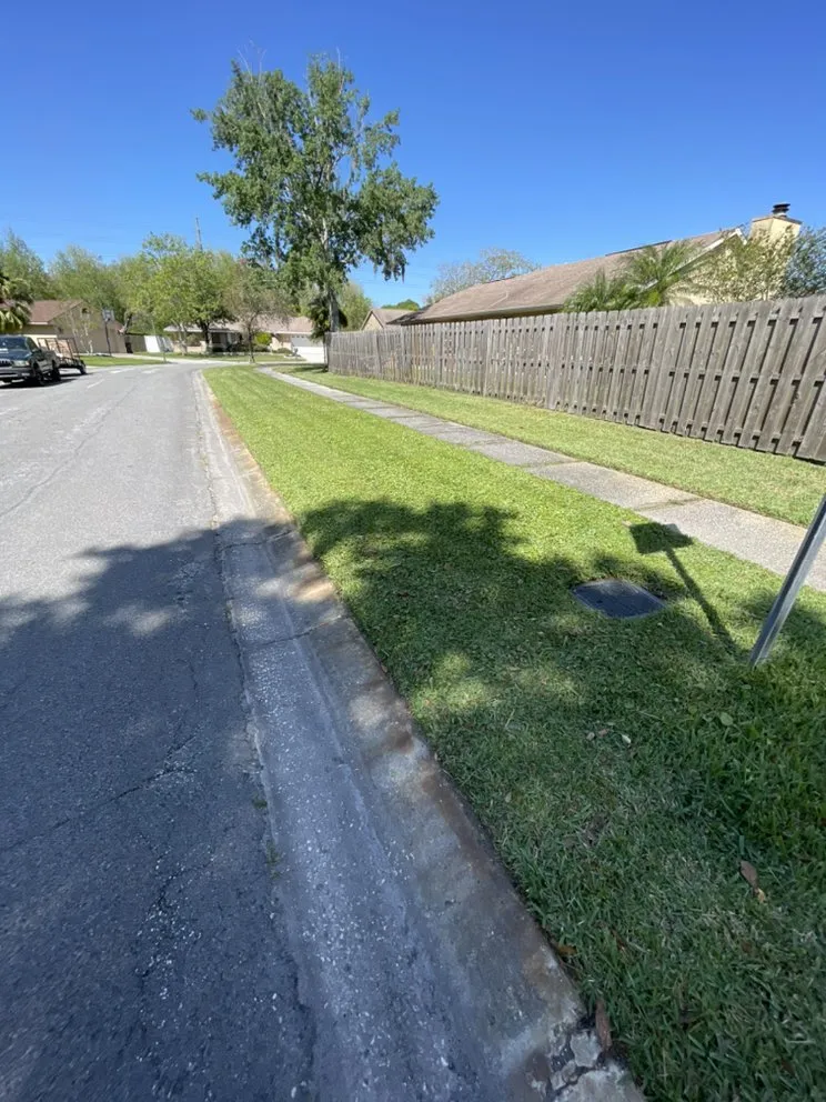 Affordable residential landscaping experts serving Tampa, FL - Martinez Lawn Service