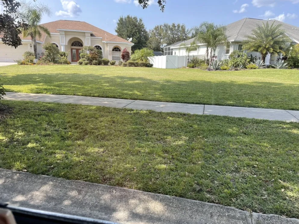 Professional lawn care service for beautiful yards in Tampa, FL by Martinez Lawn Service