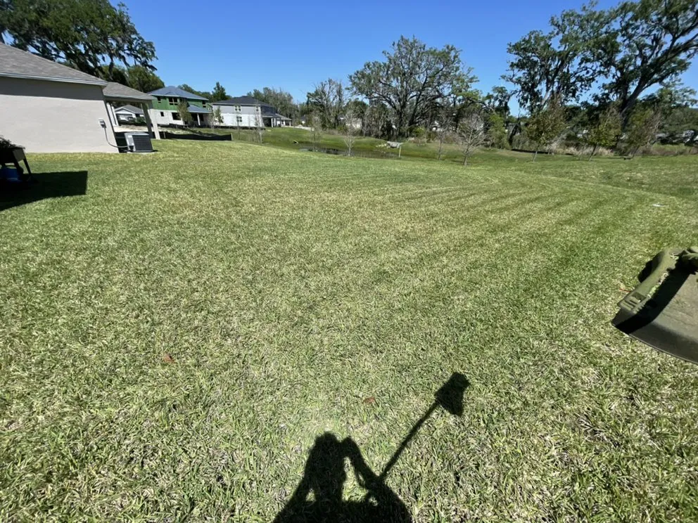 Trusted yard cleanup service for beautiful yards in Tampa, FL by Martinez Lawn Service