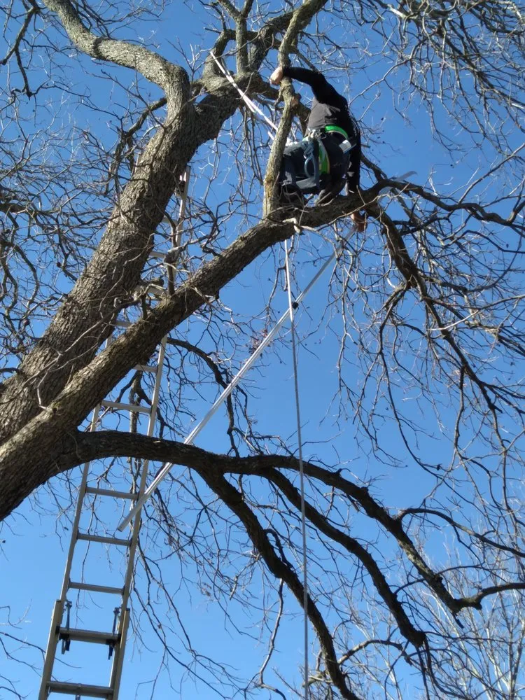 Professional residential landscaping in Boerne, TX - Martinez Lawn Services