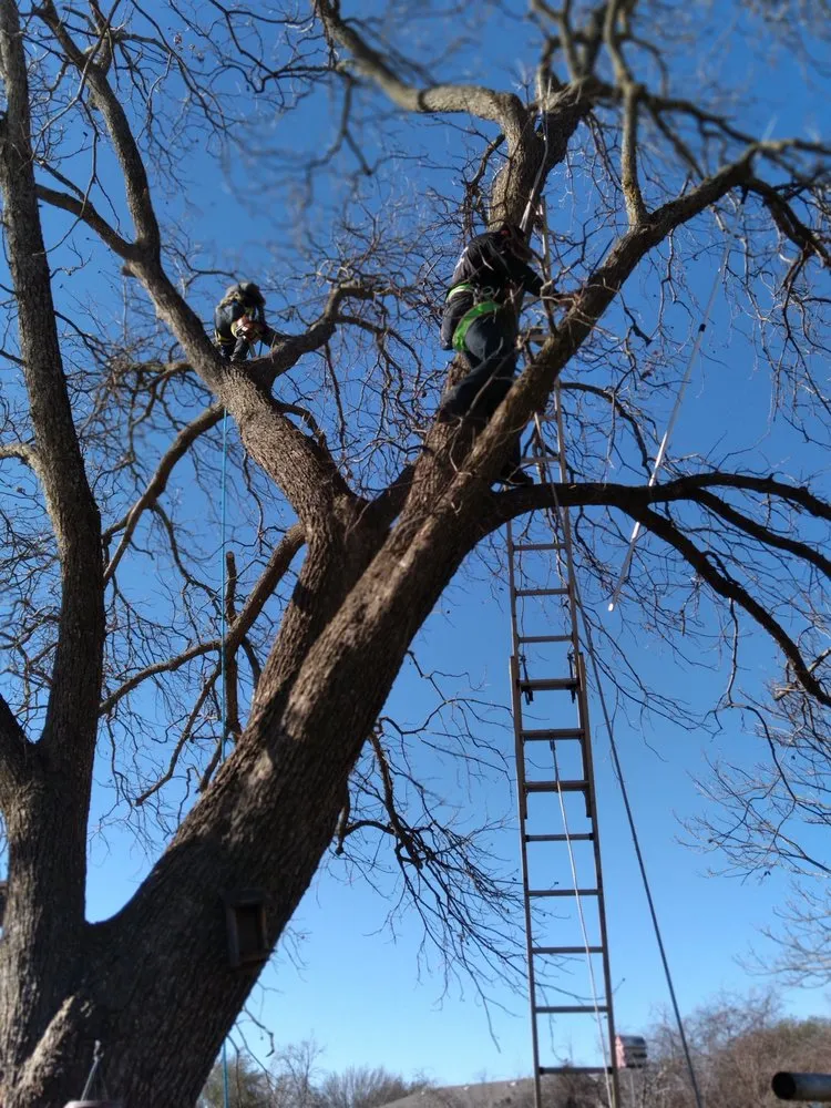 Reliable yard maintenance for beautiful yards in Boerne, TX by Martinez Lawn Services