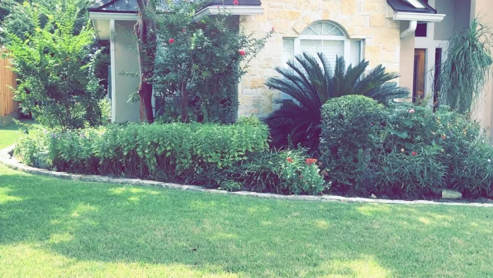 Expert outdoor landscaping in Boerne, TX by Martinez Lawn Services