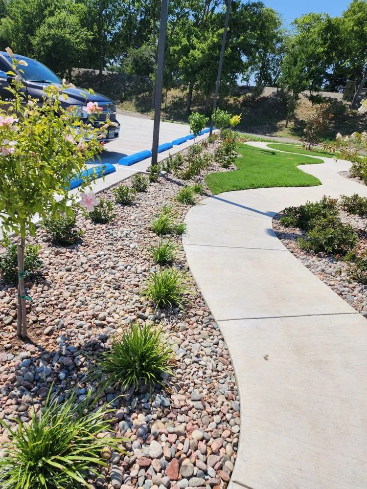 Custom landscaping services for beautiful yards across Edgewood, TX - Martinez Lawn Services