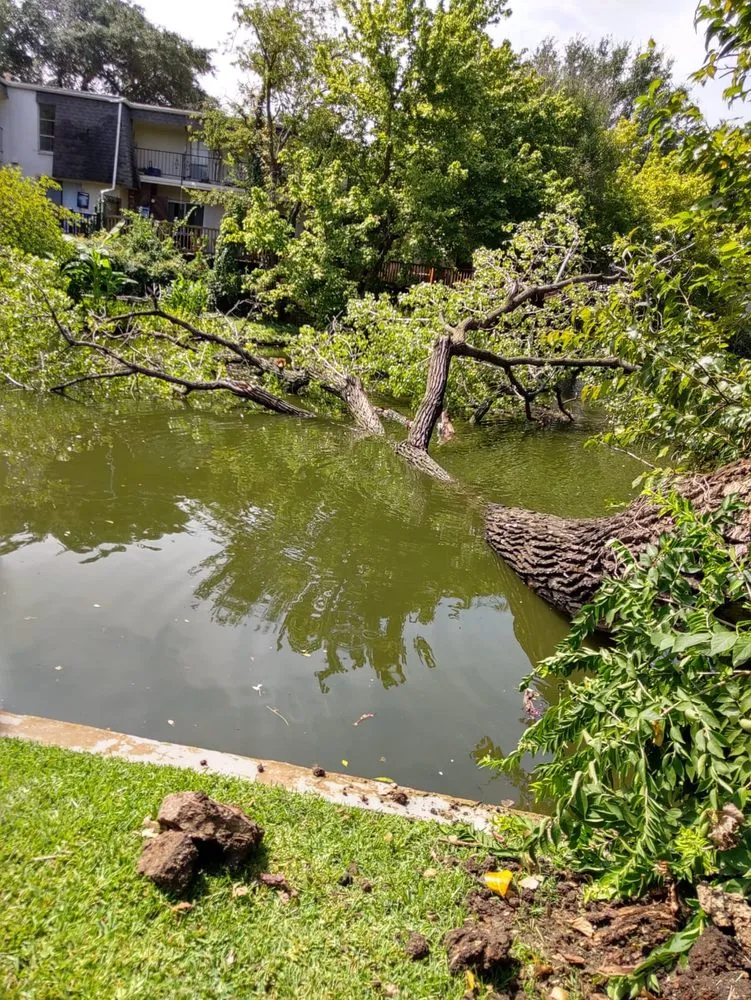 Local residential landscaping in Edgewood, TX - Martinez Lawn Services