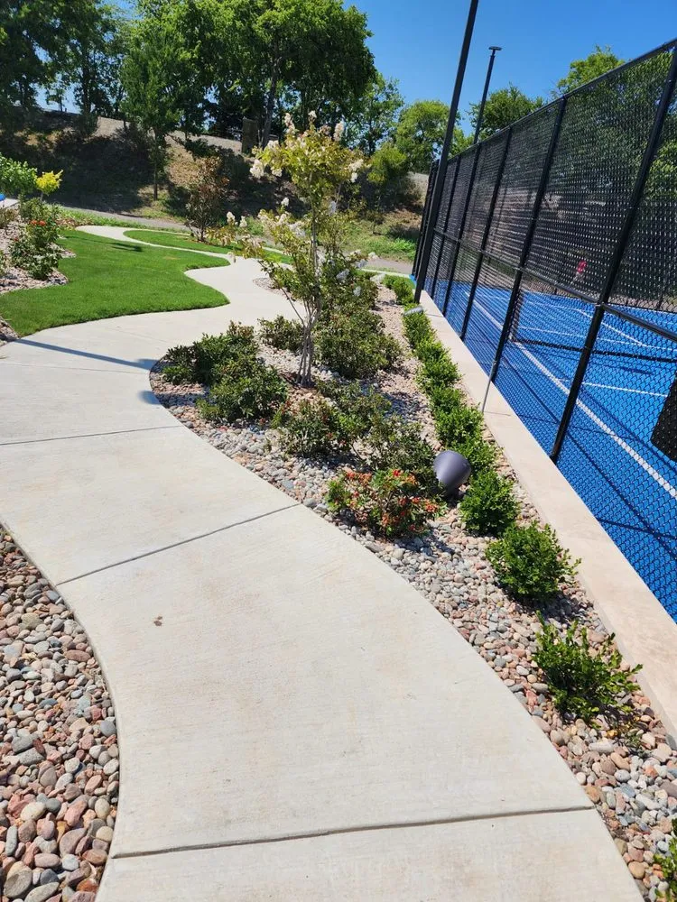 Professional yard maintenance in Edgewood, TX by Martinez Lawn Services