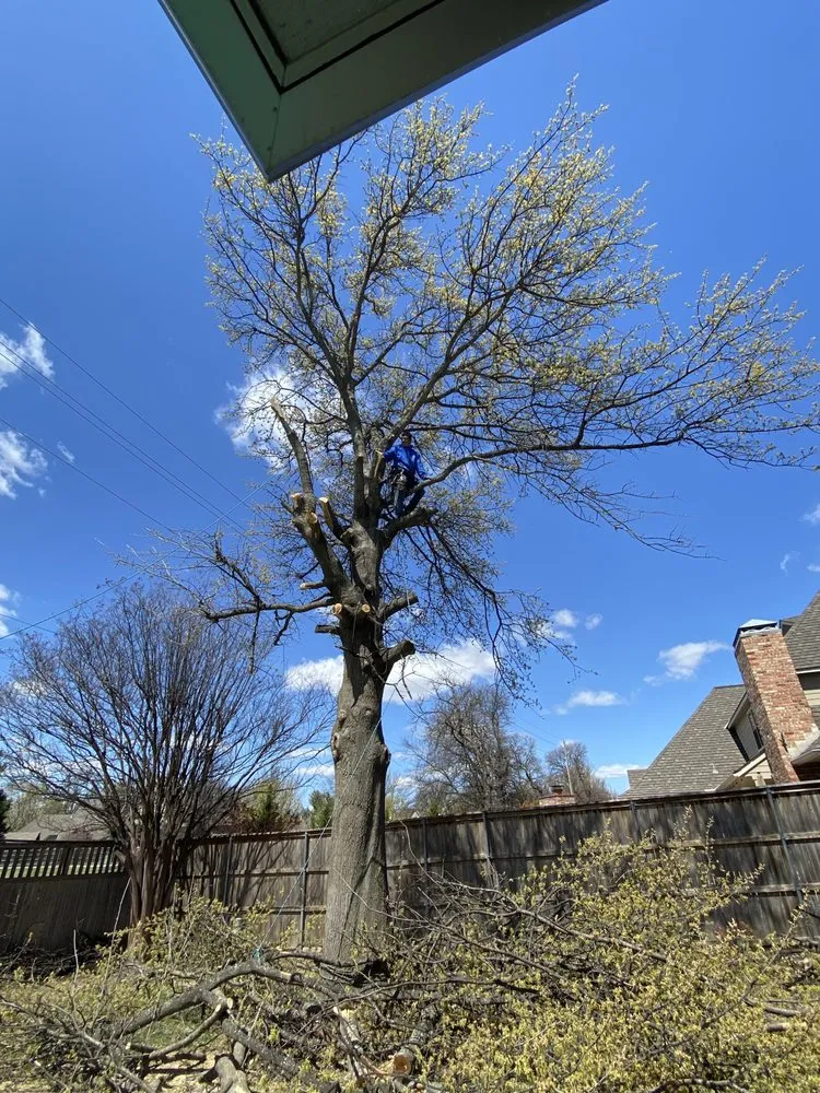 Custom lawn mowing service in Tulsa, OK - Martinez Lawnscape