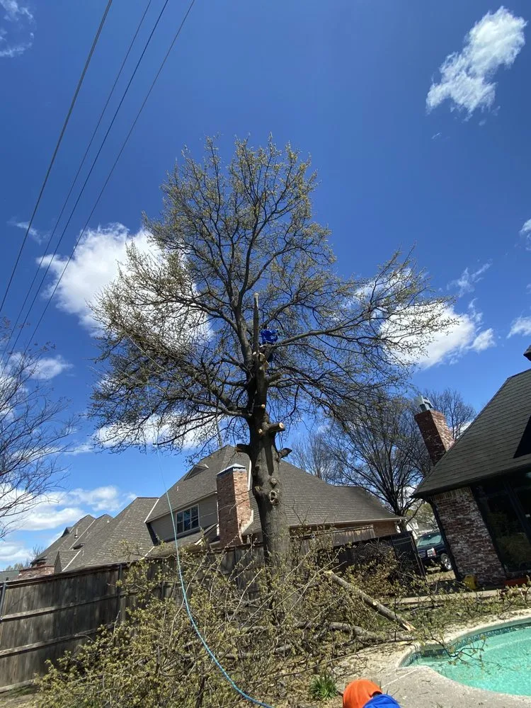 Reliable landscaping services in Tulsa, OK - Martinez Lawnscape