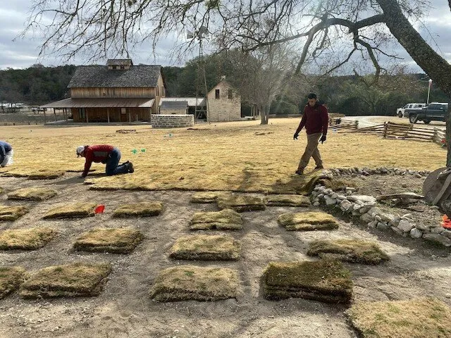 Expert yard cleanup service in Fredericksburg, TX - Martinez Outdoor Services