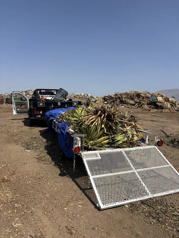 Affordable lawn mowing service experts serving Oro Valley, AZ - Martinez Outdoor Solutions