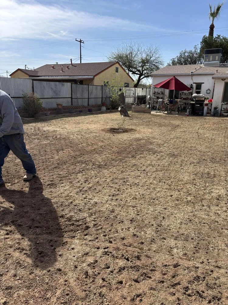 Professional yard cleanup service for homes in Oro Valley, AZ by Martinez Outdoor Solutions