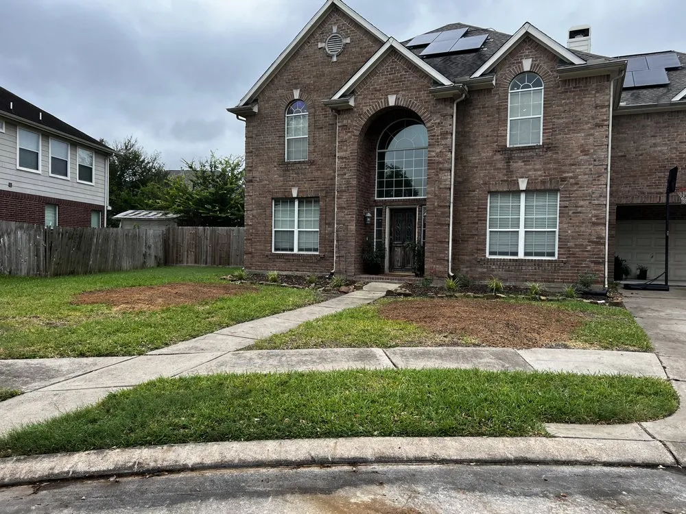 Top-rated lawn mowing service in Katy, TX - Martinez Professional Trees