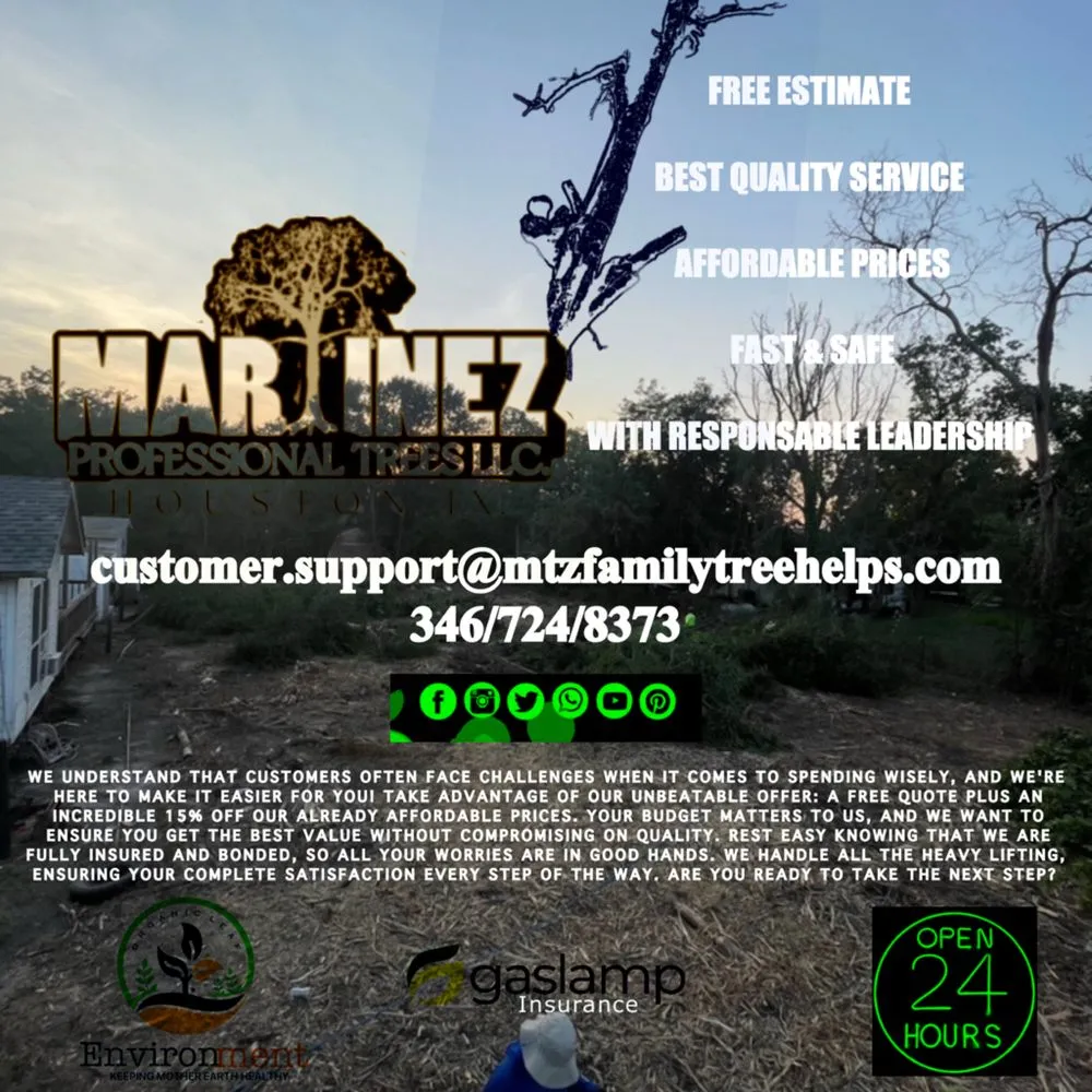 Top-rated lawn mowing service for year-round maintenance across Katy, TX - Martinez Professional Trees