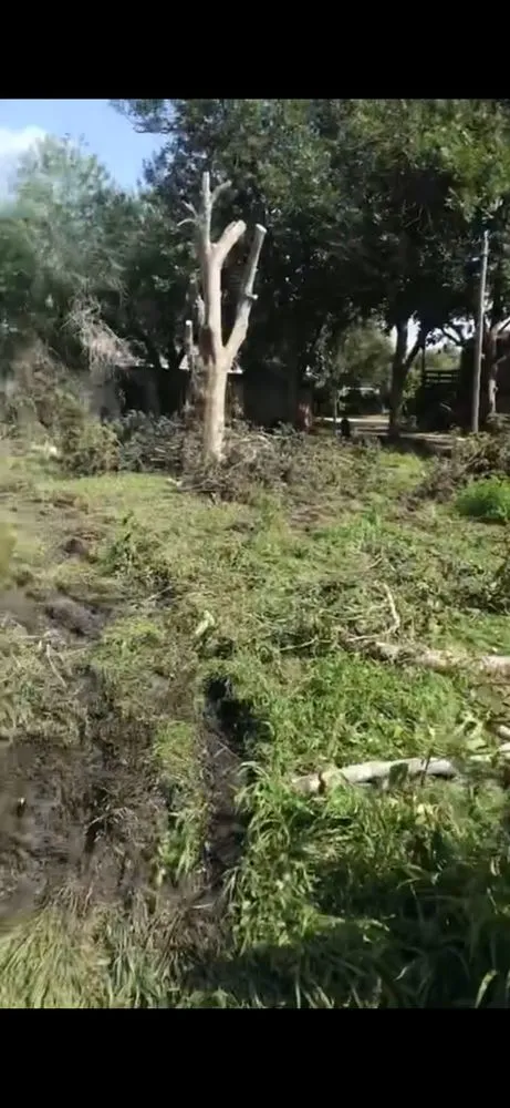 Reliable yard cleanup service in Katy, TX by Martinez Professional Trees