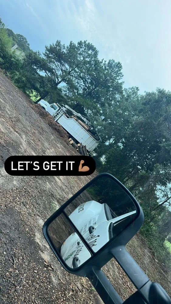 Reliable yard cleanup service in Katy, TX by Martinez Professional Trees