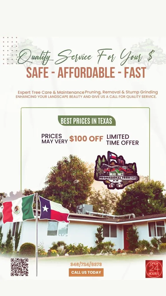 Expert yard maintenance experts serving Katy, TX - Martinez Professional Trees