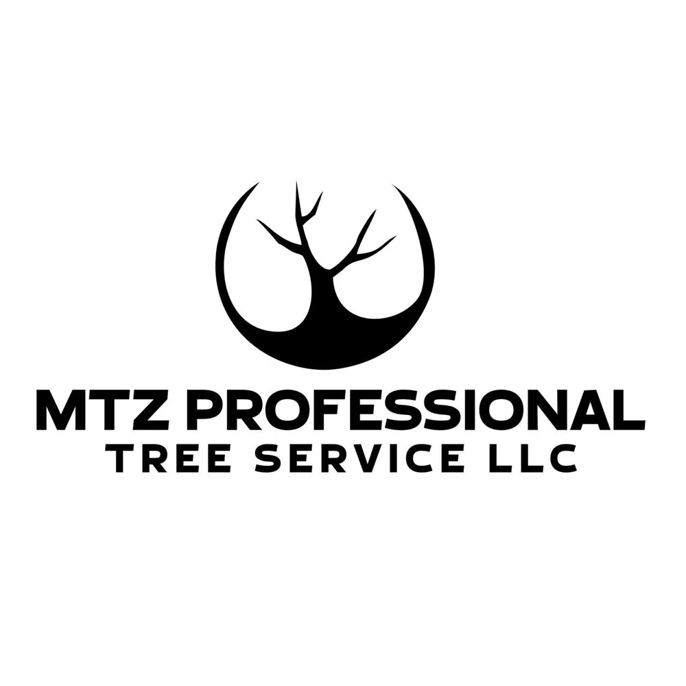 Professional yard cleanup service for beautiful yards across Katy, TX - Martinez Professional Trees